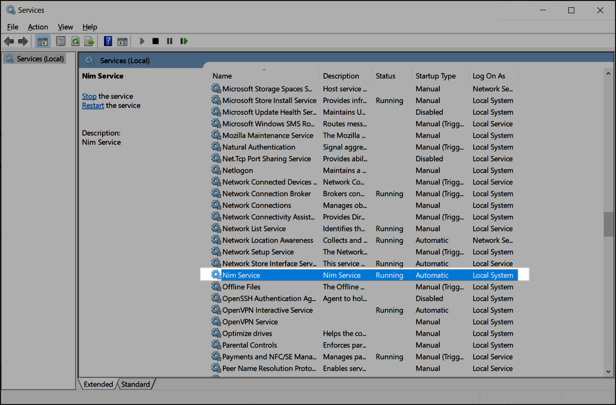 NIM Service running in Windows Services